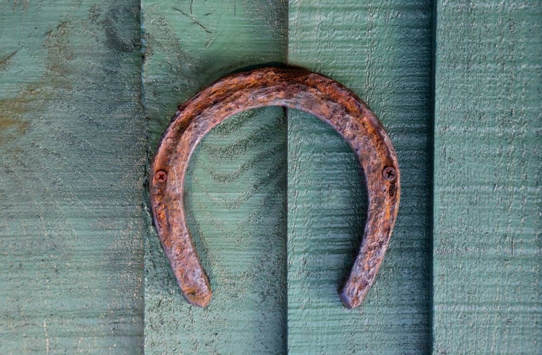 horseshoe