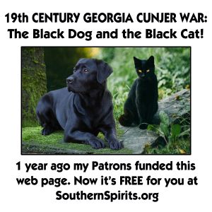 2023-06-28-Release-WTSCTYD-Black-Dog-and-Black-Cat.jpg